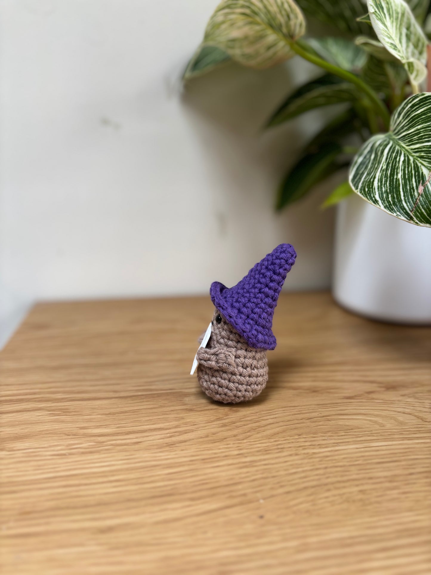 Desk Buddy witches hats