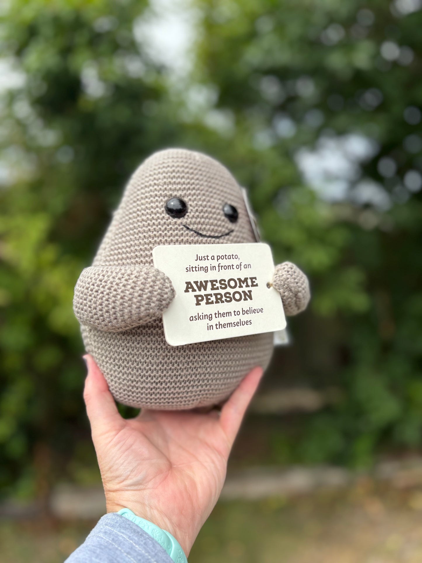 Big Dave Potato -  Plushie