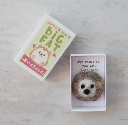 Sending You A 'Hedgehug' In A Matchbox