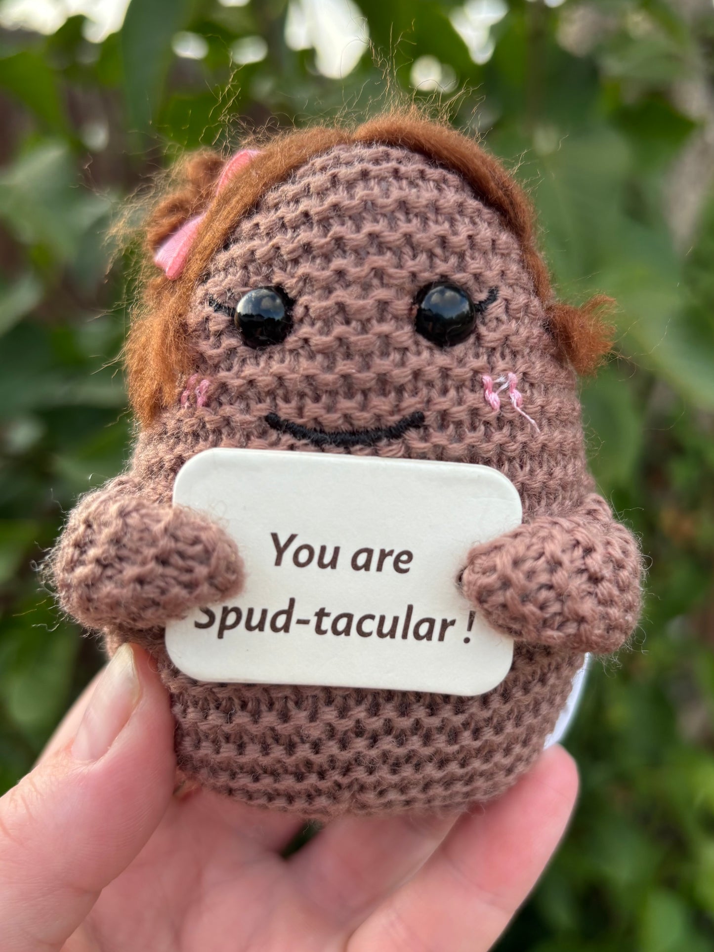 Ms Steve - The Original Positive Potato