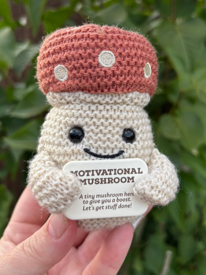 Motivational Mushroom 9cm