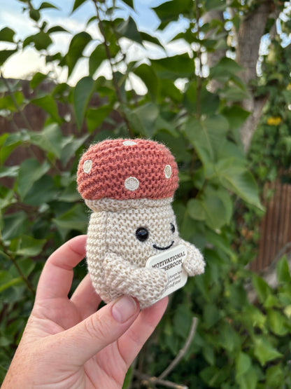Motivational Mushroom 9cm