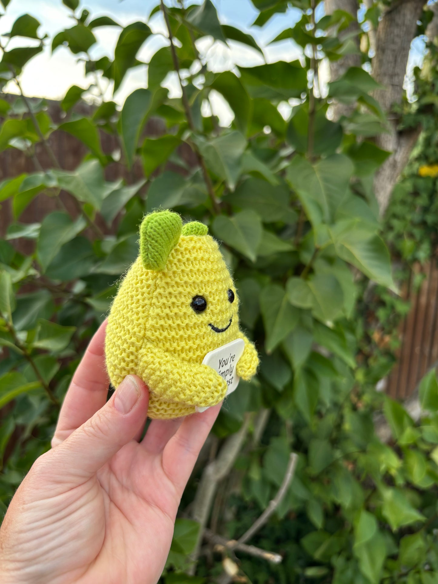 Zestful Lemon 9cm