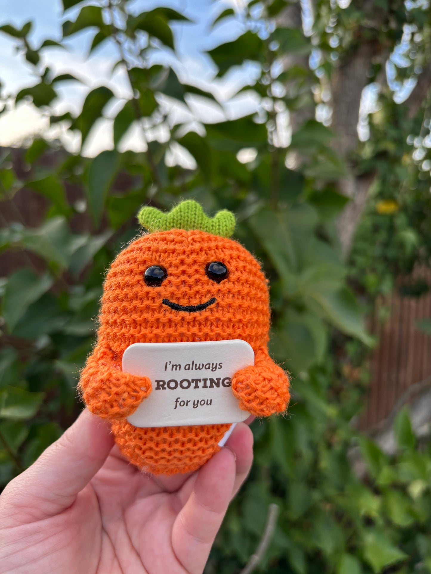 Caring Carrot 9cm