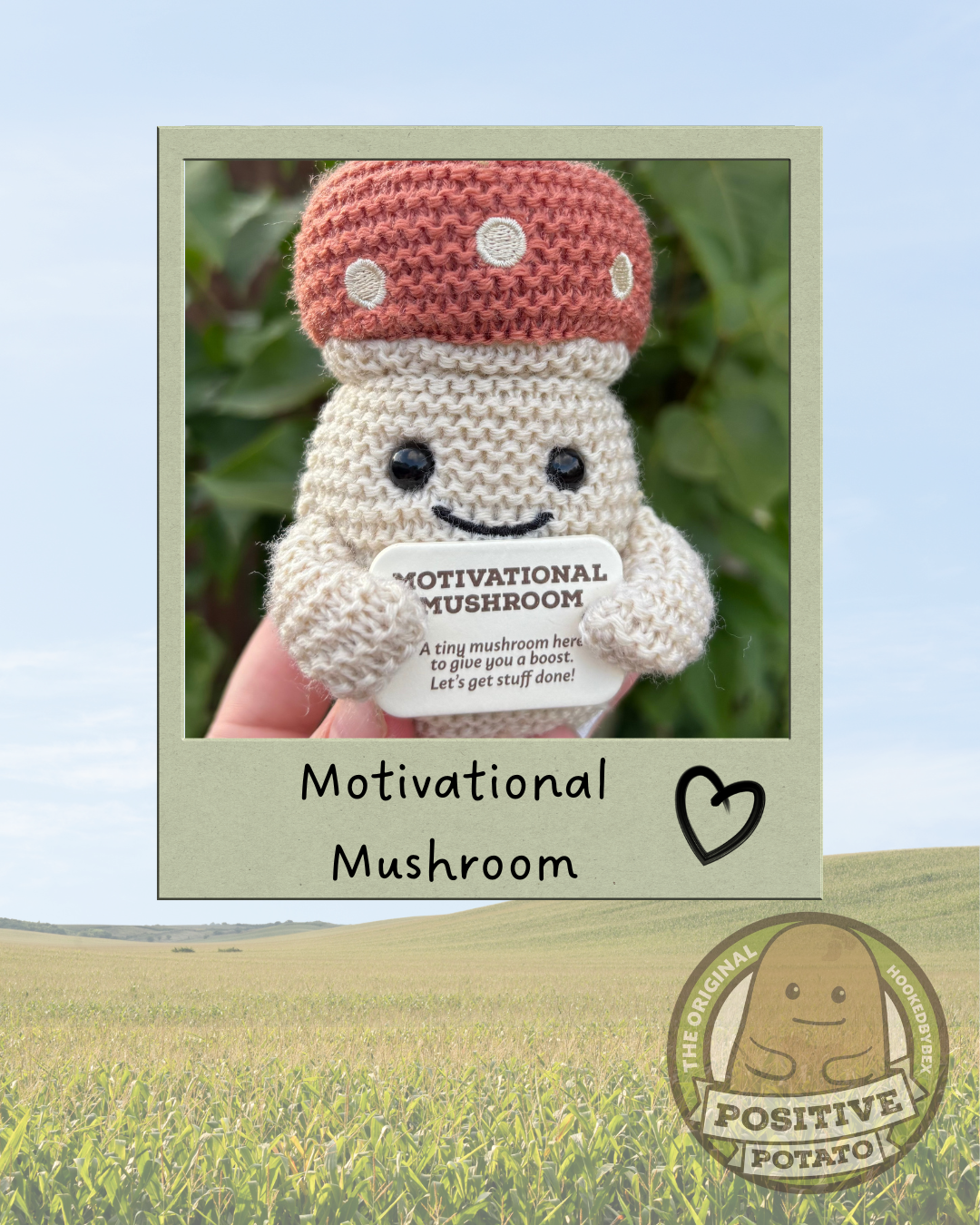 Motivational Mushroom 9cm